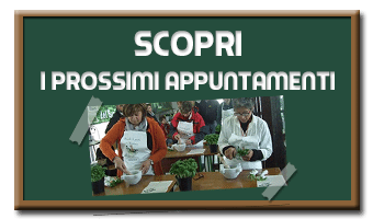 scopri i prossimi appuntamenti